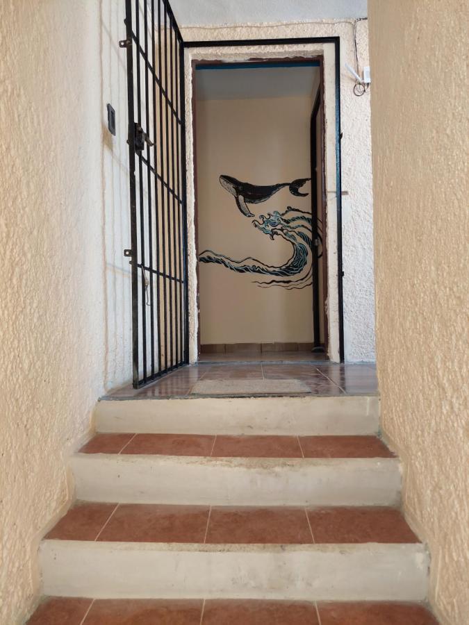 Venado 28 Hostel แคนคูน ภายนอก รูปภาพ
