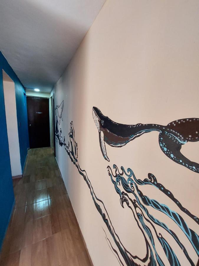 Venado 28 Hostel แคนคูน ภายนอก รูปภาพ