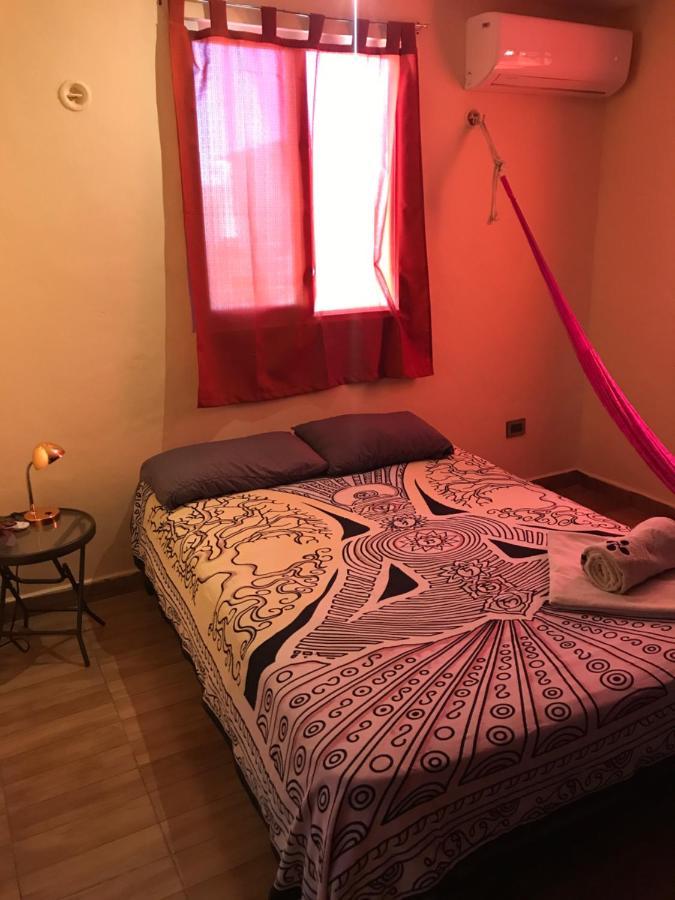 Venado 28 Hostel แคนคูน ภายนอก รูปภาพ